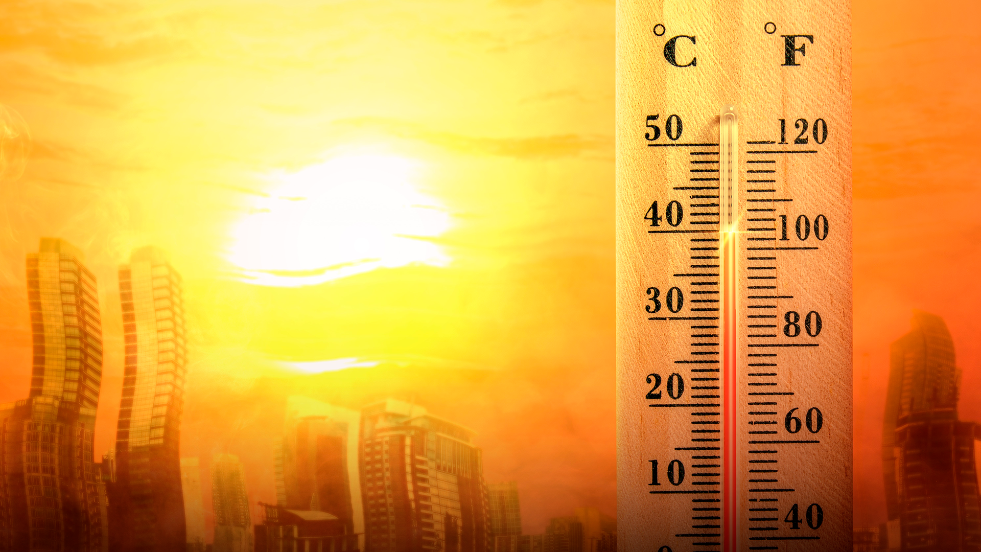 аномальная жара в нидерландах. рекордная жара в европе. жара в августе 2022. аномальная жара в европе 2003. самый жаркий день лета.